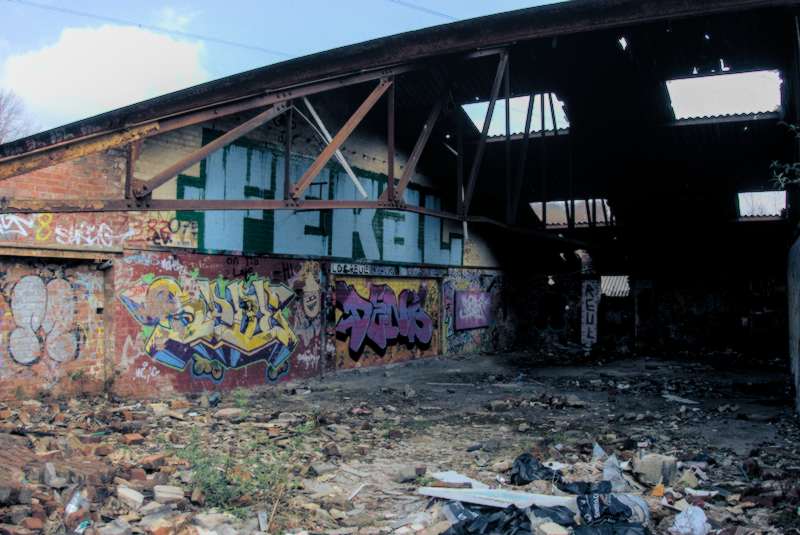 "FERAL"